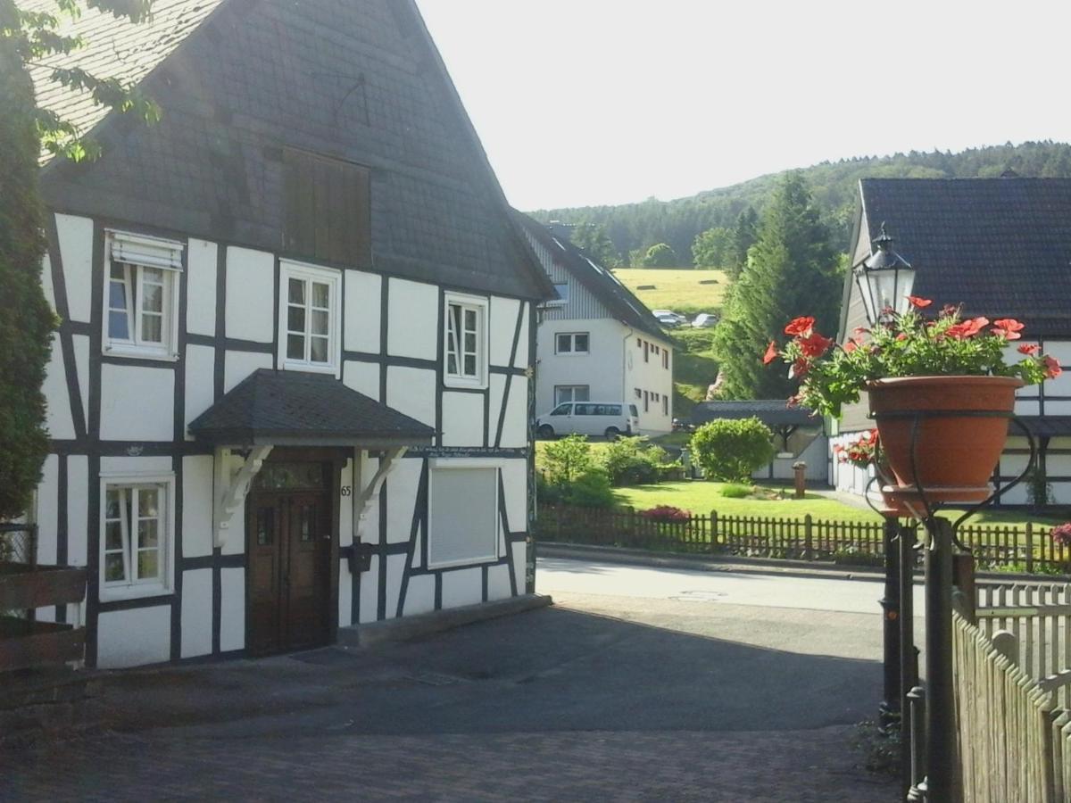 Am Bach Villa Olsberg Exterior photo